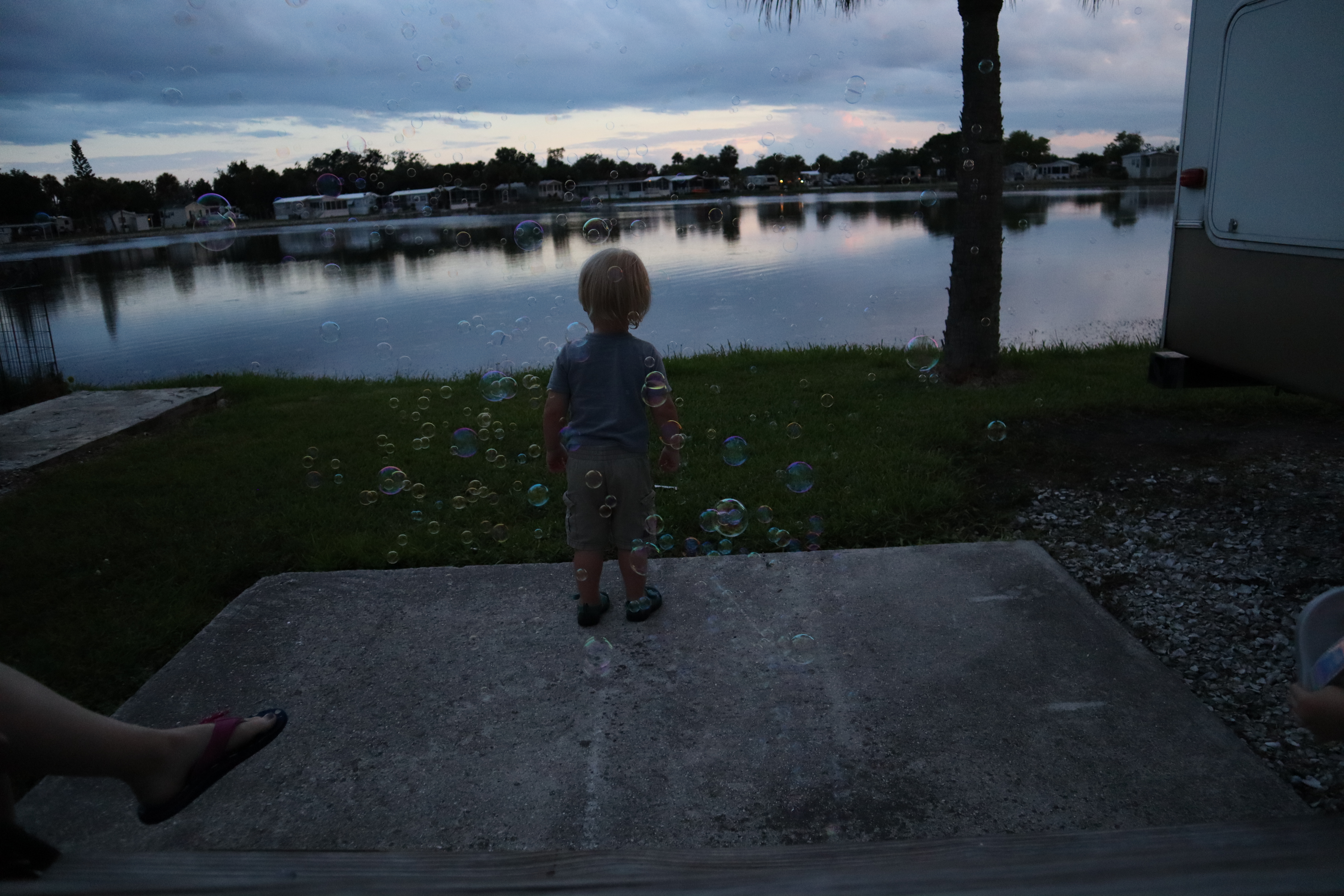 Lakefront RV Camping, Lakewood Ranch, & Mote Aquarium RoseRelish