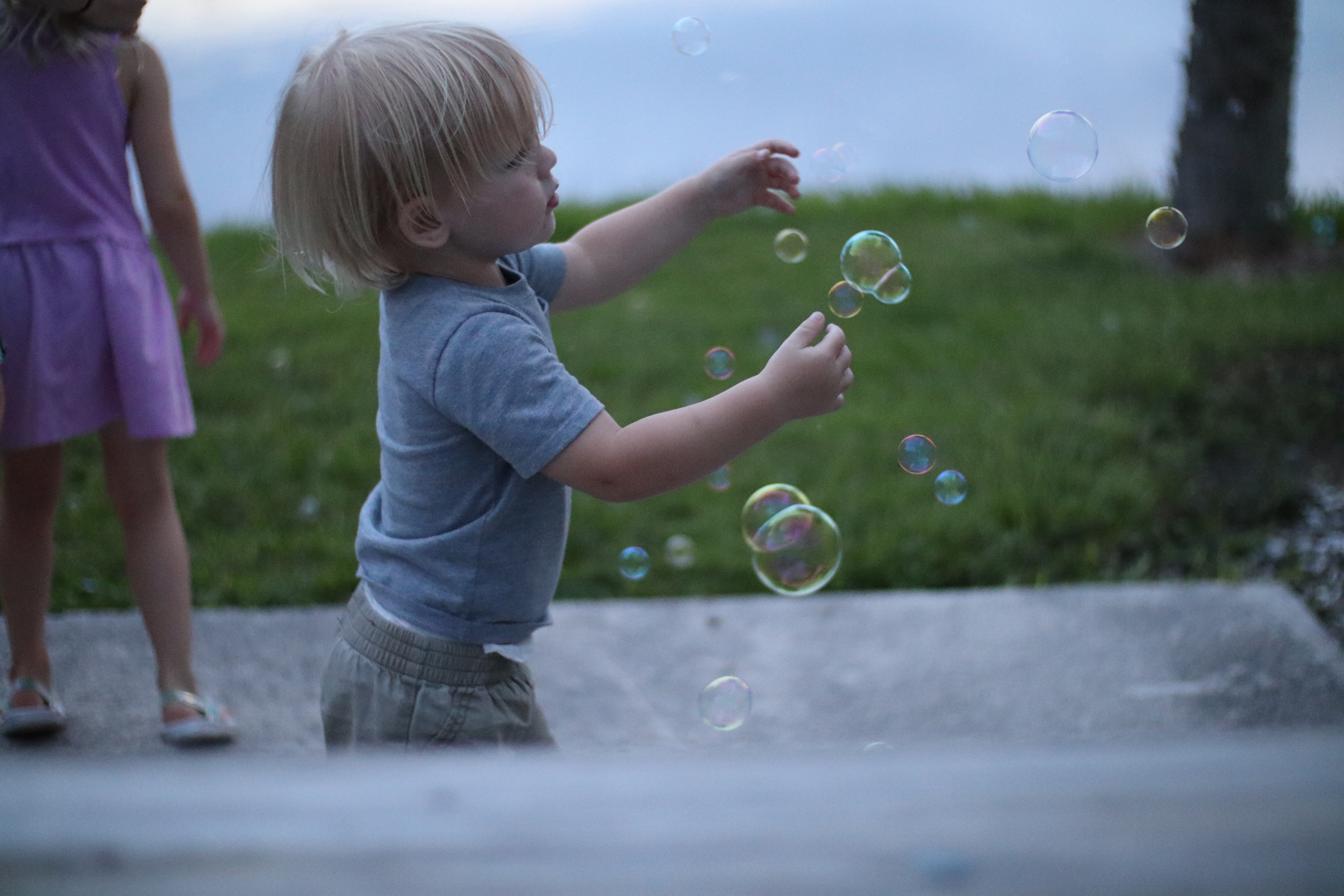 Lakefront RV Camping, Lakewood Ranch, & Mote Aquarium RoseRelish